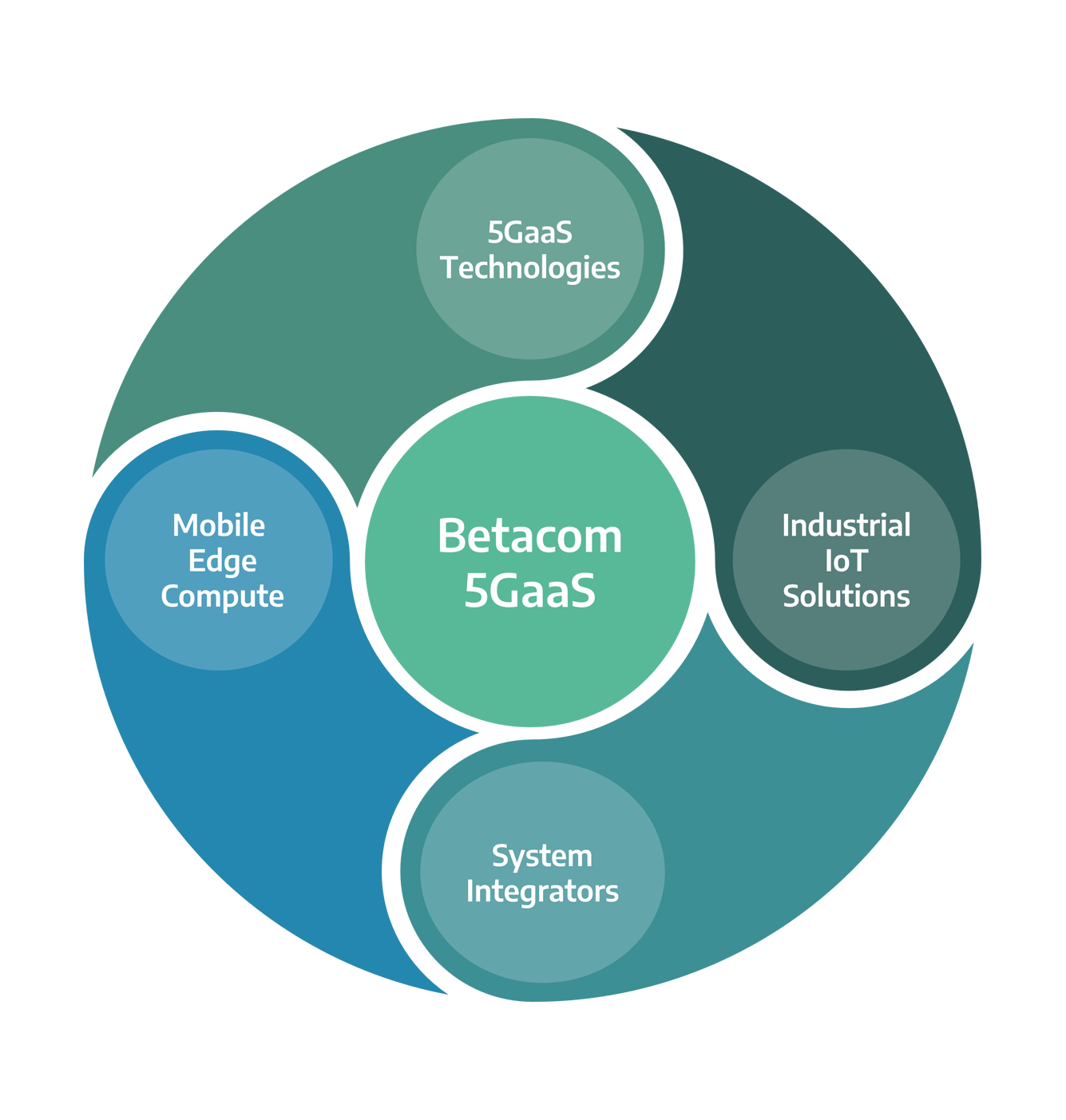 Partner Ecosystem graphic